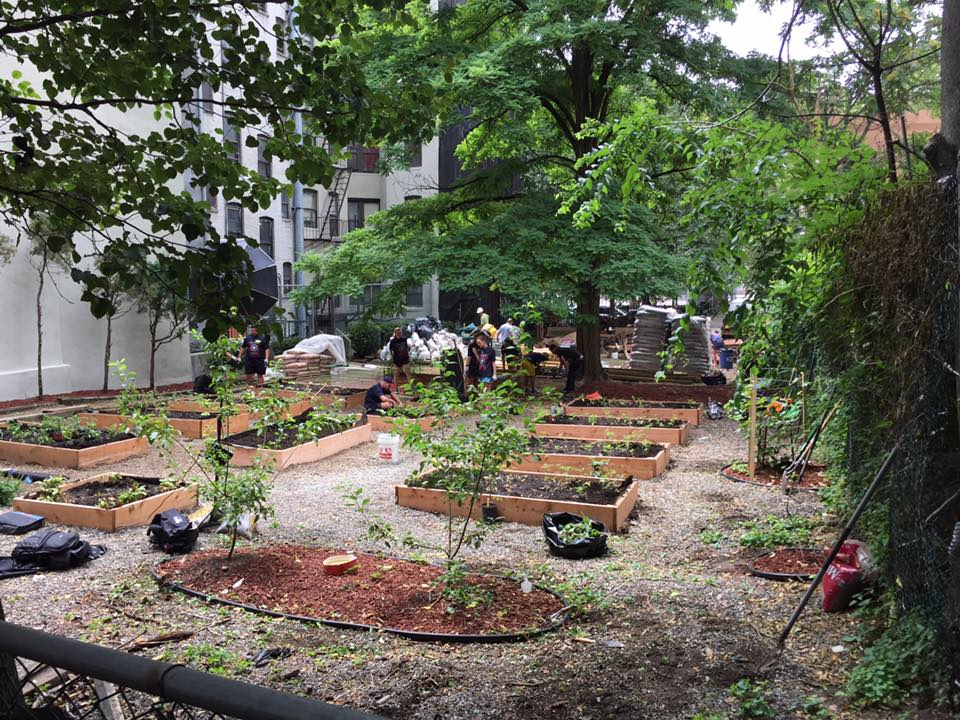 Healthy Communities Image 2